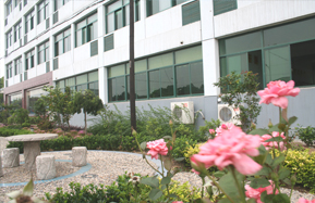 ���ڣ����ոֱ�